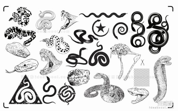 爬行动物剪影丨