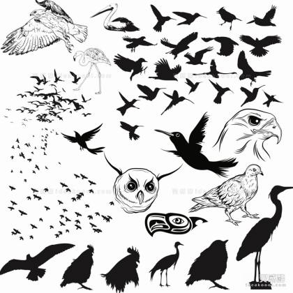 鸟类 鸟群 动物剪影丨