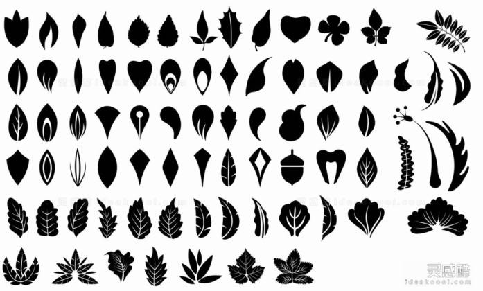 叶子植物剪影丨