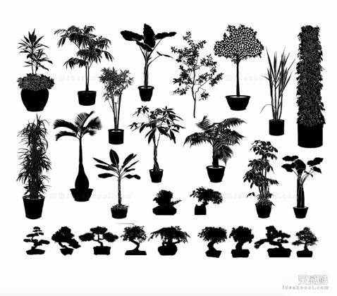 矢量植物剪影 盆景 盆栽绿植丨