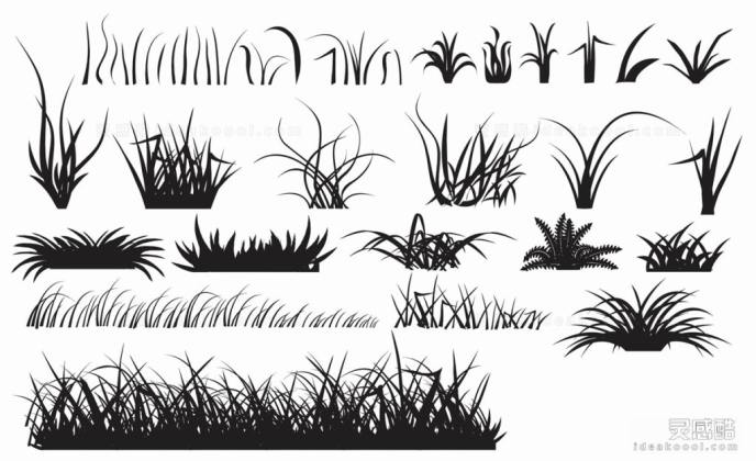 草丛植物剪影丨