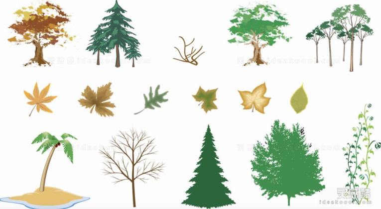 插画风植物叶子丨