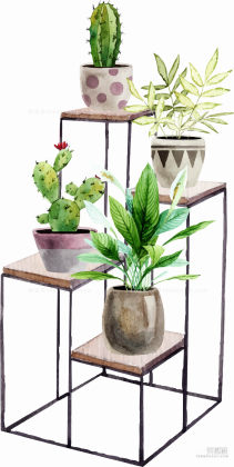 水彩风盆栽丨