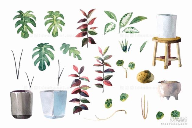 水彩风植物叶子丨