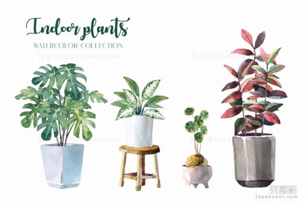 水彩风盆栽绿植丨
