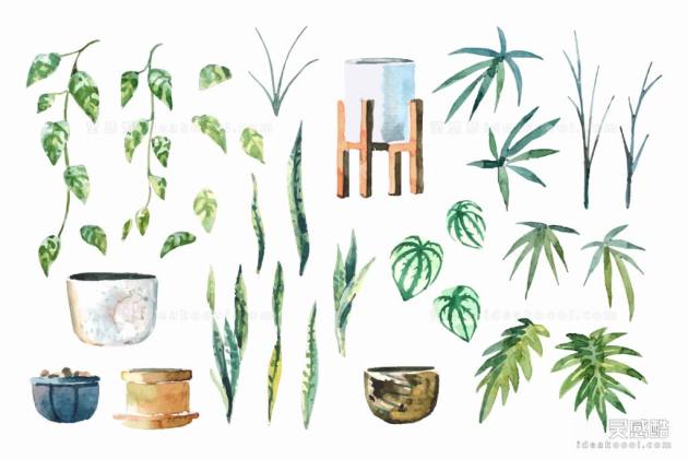 水彩风植物叶子丨