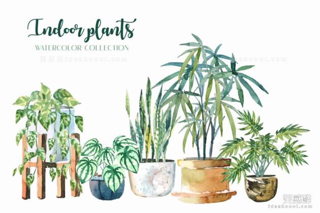 水彩风盆栽绿植丨