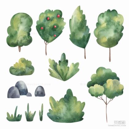 水彩风植物丨