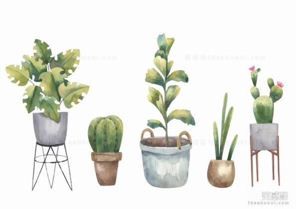 插画风盆栽植物丨