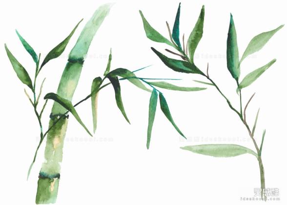 水彩风竹子丨