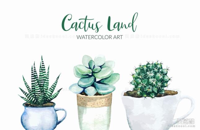 水彩风多肉植物丨