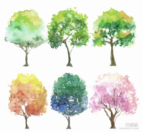 水彩风乔木植物丨