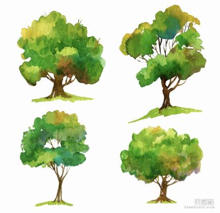 水彩风乔木植物丨