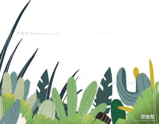 插画风植物丨