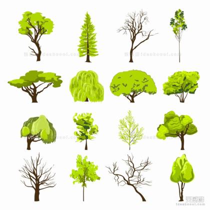 插画风植物丨