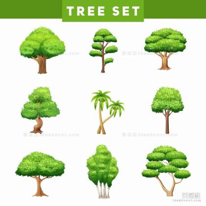插画风植物丨