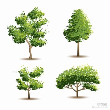 插画风植物丨