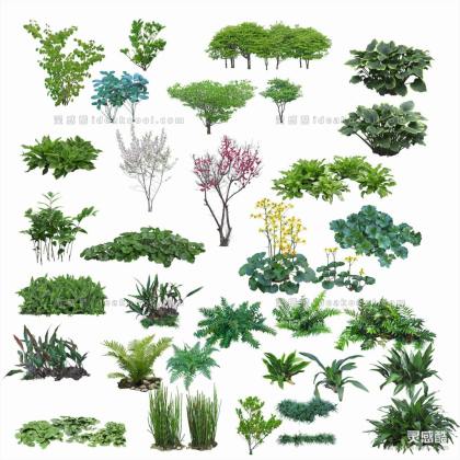 效果图植物丨