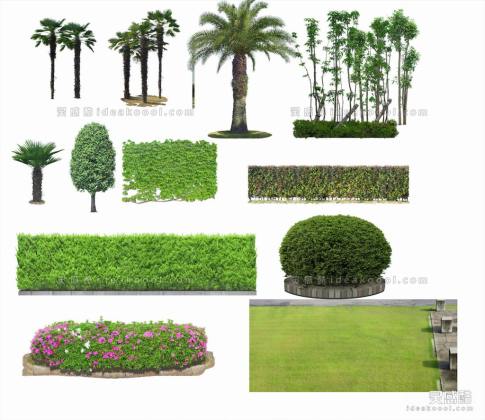 效果图植物丨