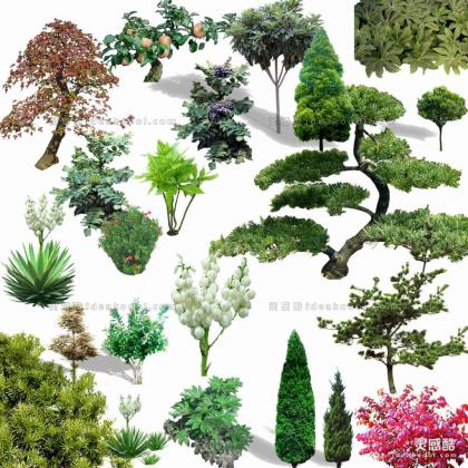 效果图植物丨