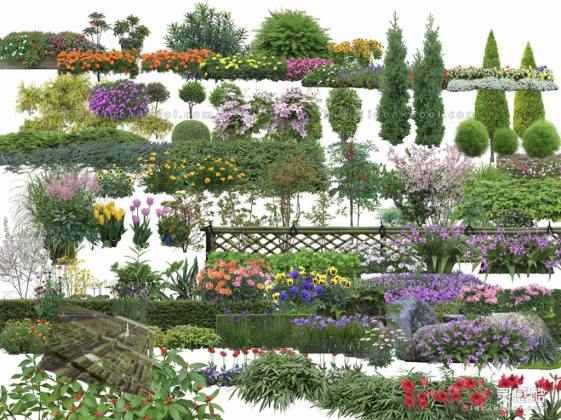 效果图植物 地被花卉a丨