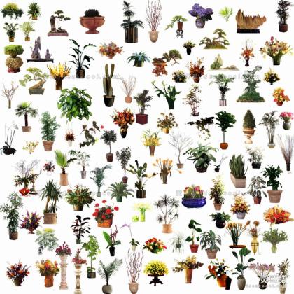 效果图植物 盆栽植物丨