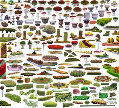 效果图植物 模纹花坛丨