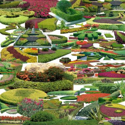 效果图植物 模纹花坛丨