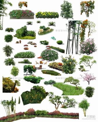 效果图植物 灌木地被a丨