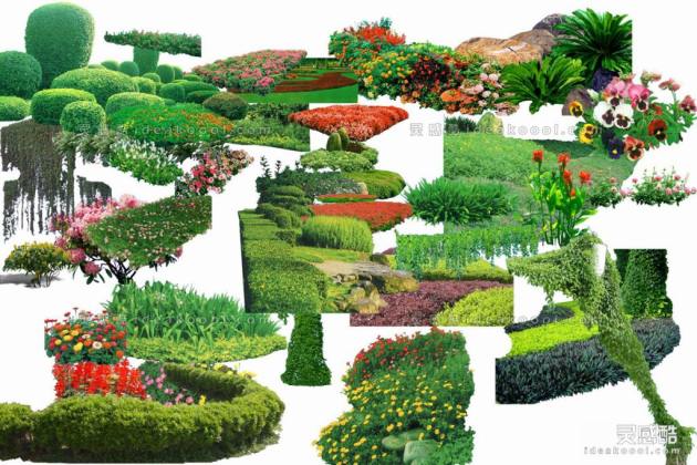 效果图植物 地被花卉a丨