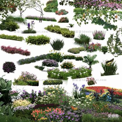 效果图植物 地被花卉a丨