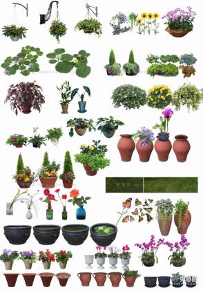 效果图植物 盆栽a丨