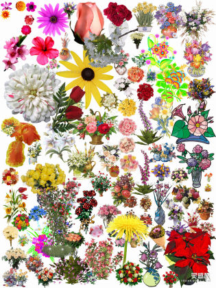 效果图植物 花卉丨