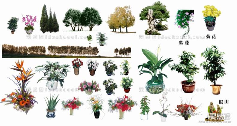 效果图植物 盆栽a丨