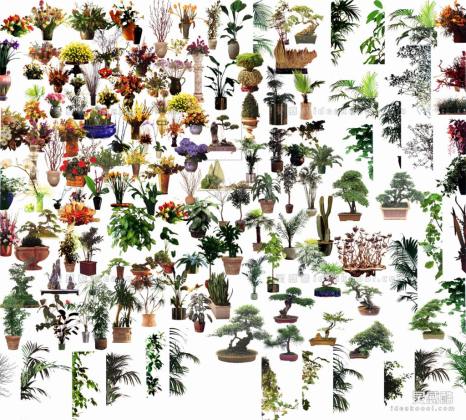 效果图植物 盆栽a丨