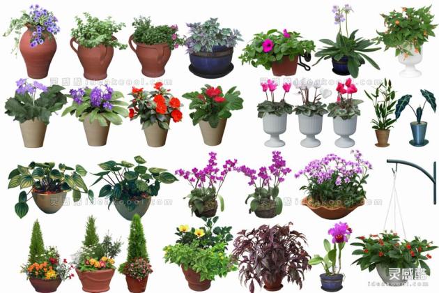 效果图植物 盆栽a丨