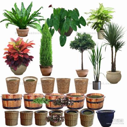 效果图植物 盆栽a丨