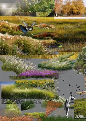 效果图植物 水生生态植物丨